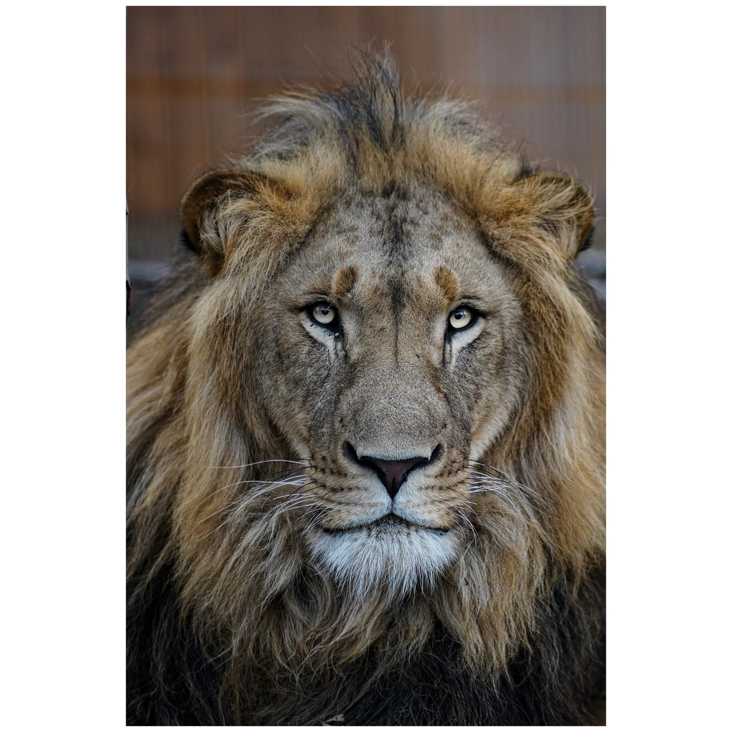 The Fear of the Lord