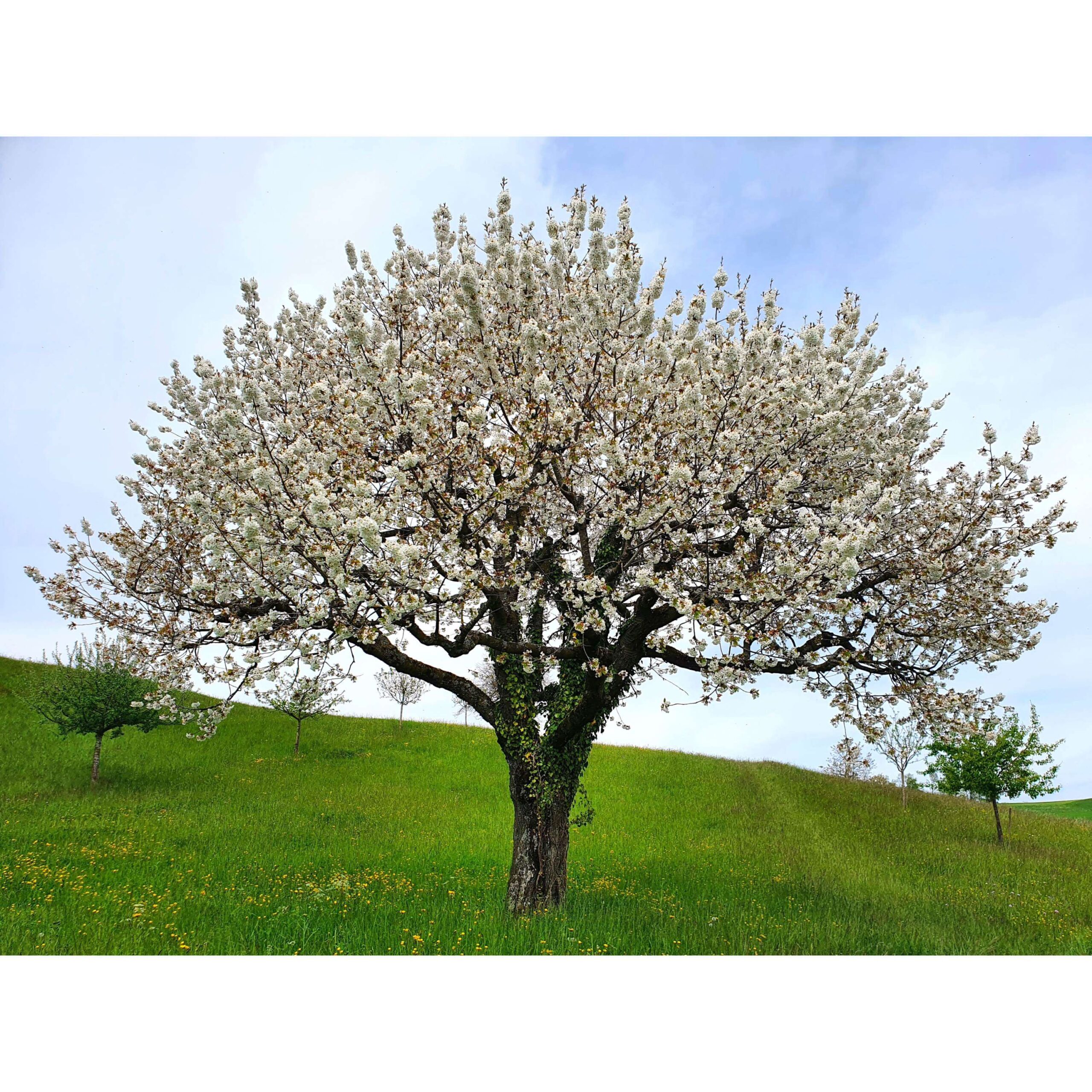 Sweat the Small Stuff